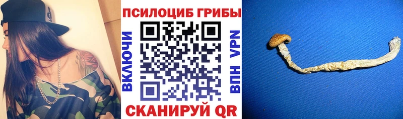 Купить закладки  Топки  Галлюциногенные грибы прущие грибы 