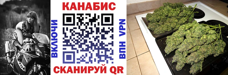 Марихуана OG Kush  Купить где  Топки 